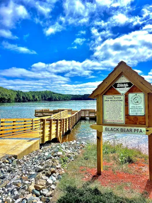 Black Bear Campground and Park 5