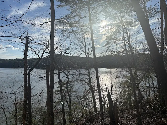 Black Bear Campground and Park 6