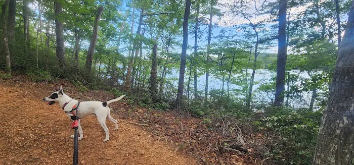Black Bear Campground and Park 10