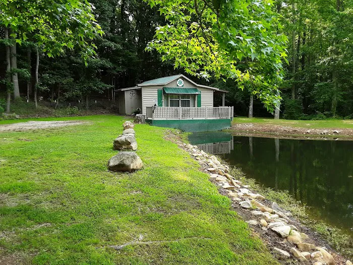 Paddy Creek Campground 1