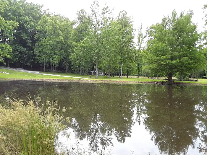 Paddy Creek Campground 2