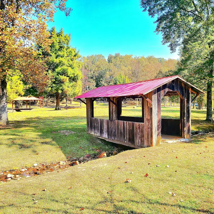 Paddy Creek Campground 5