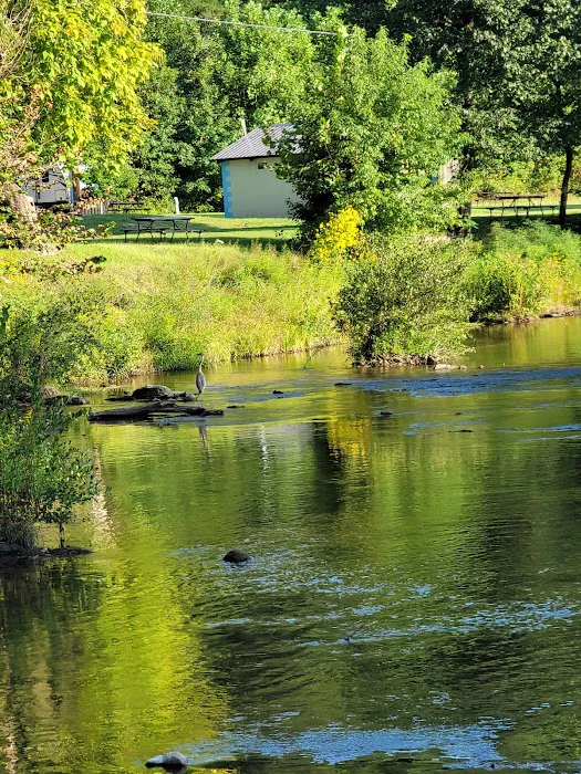 Steel Creek Park & Family Campground 7