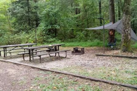 NFS Campsites
