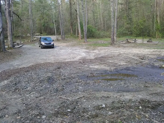 NFS Campsites 9