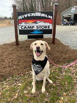 Riverwalk RV Park on the Yadkin River 10