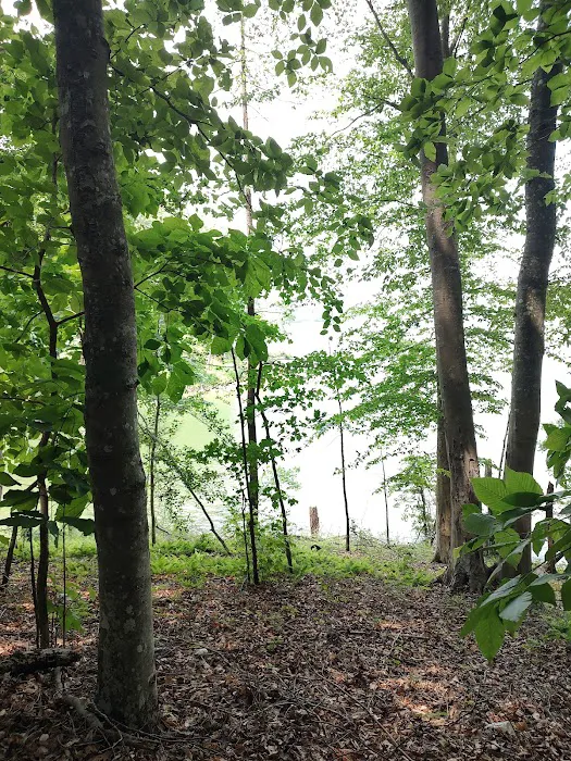 Warrior Creek Campground 4