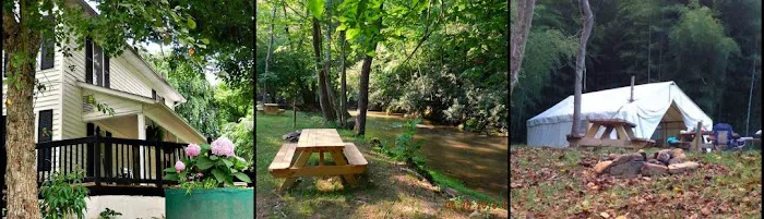 Stoney Fork Campground 5