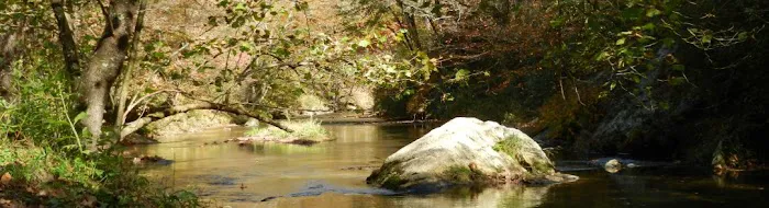 Stoney Fork Campground 7