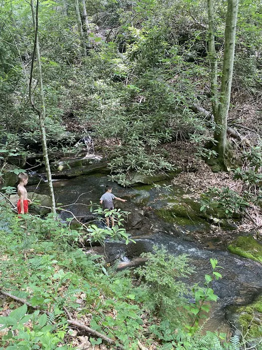 Blue Ridge Ranch 5