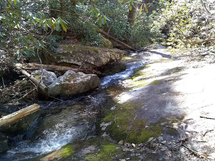 Mortimer Campground 4