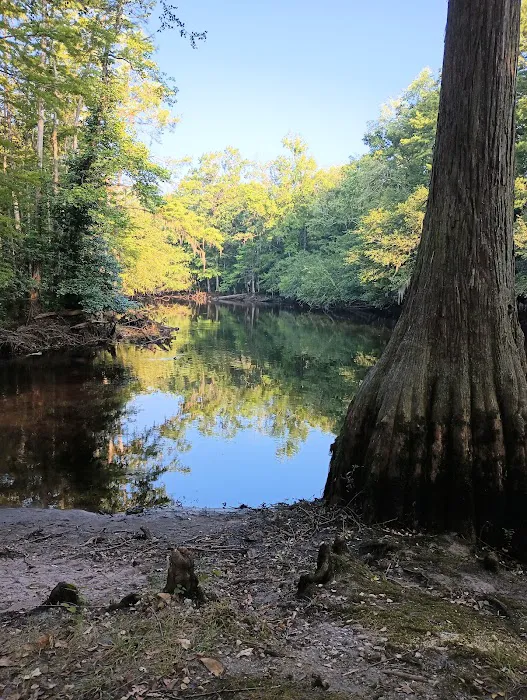 Lumber River Campground 5