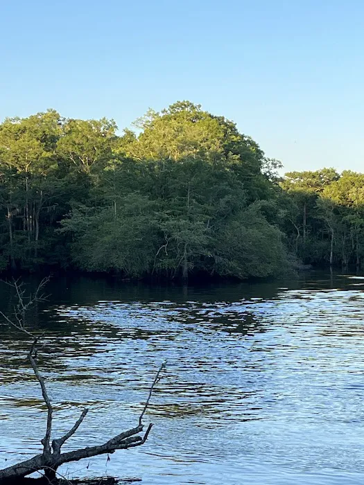 Jeffcoat's Black Water Campground 7
