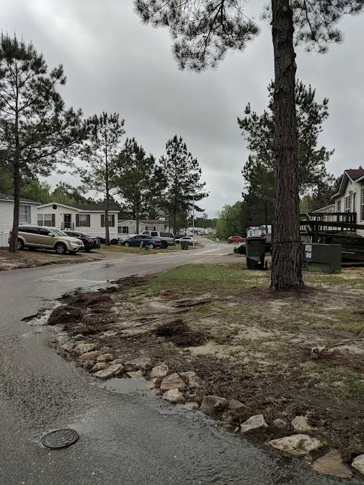 Taylors Creek 8
