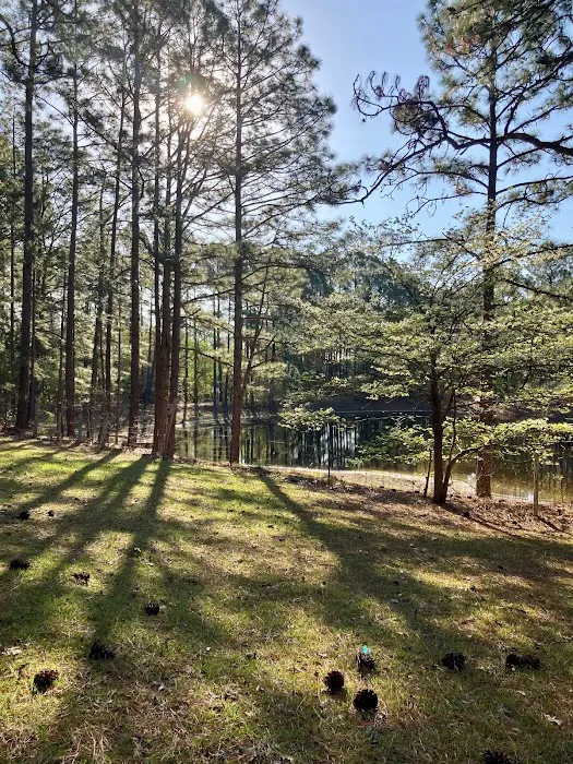 Spacious Skies Campgrounds - Sandy Run 9
