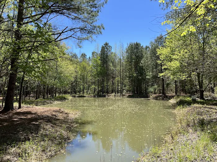 Cedar Creek Campground at Elease 3