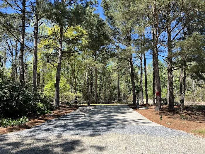 Cedar Creek Campground at Elease 1