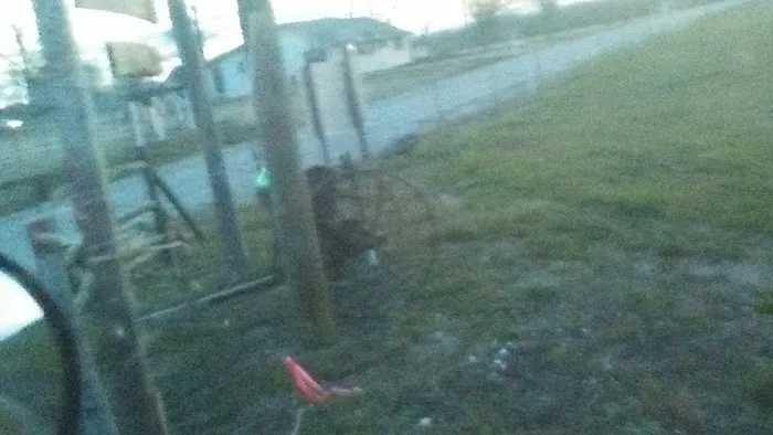 Pine Acres RV Park 4
