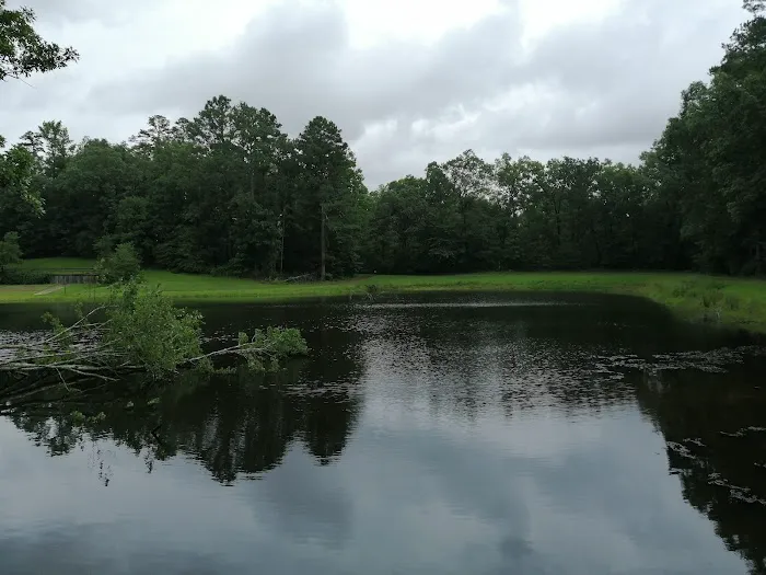 Town Creek Campground 1