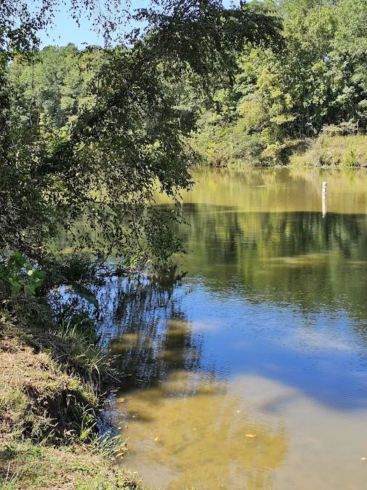 Town Creek Campground 8