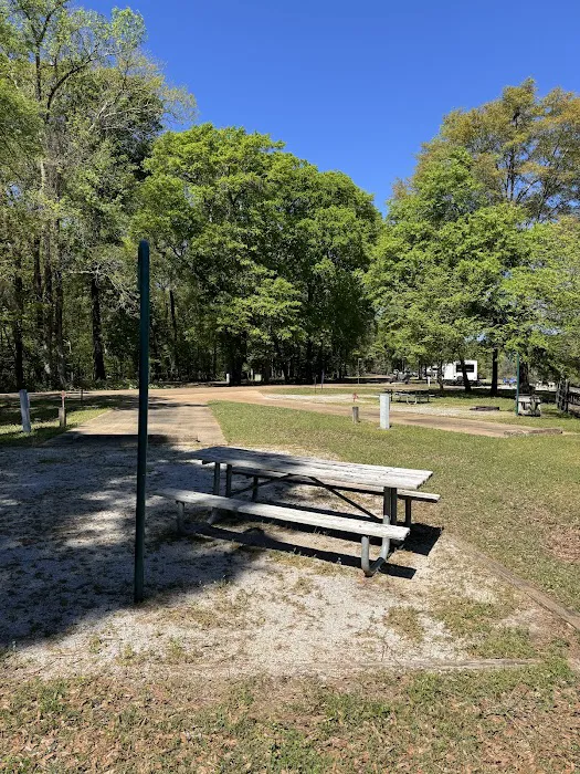 Town Creek Campground 5