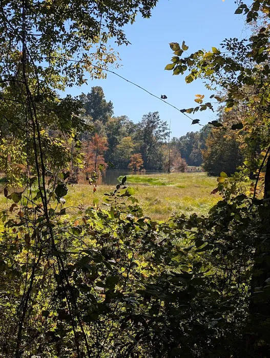 Dewayne Hayes Campground 7
