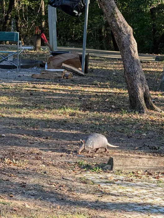 Dewayne Hayes Campground 8