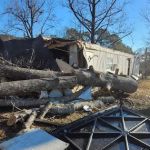 Shaw's Mobile Home Park