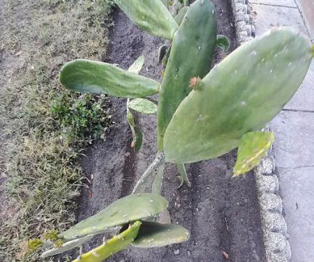 Oakbrook Mobile Home Park