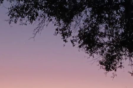 Citrus Hills RV Park