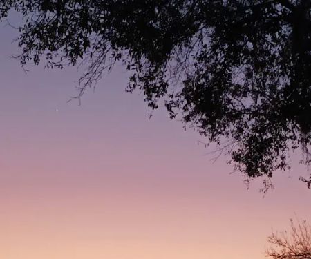 Citrus Hills RV Park