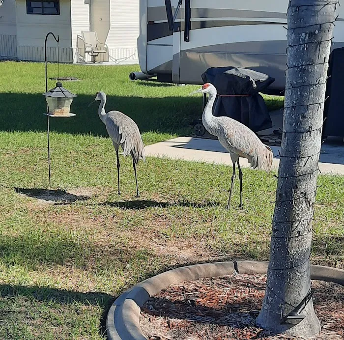 Adelaide Shores RV Resort 5