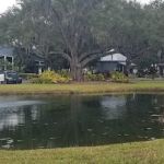 The Meadows At Countrywood