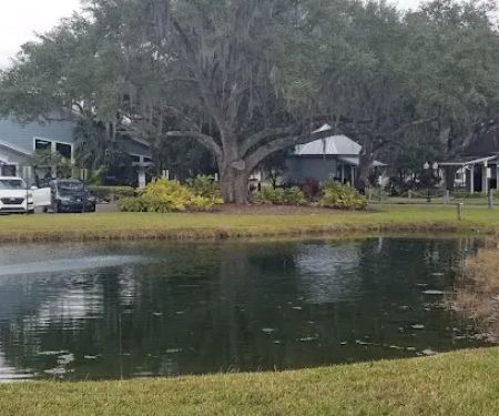 The Meadows At Countrywood