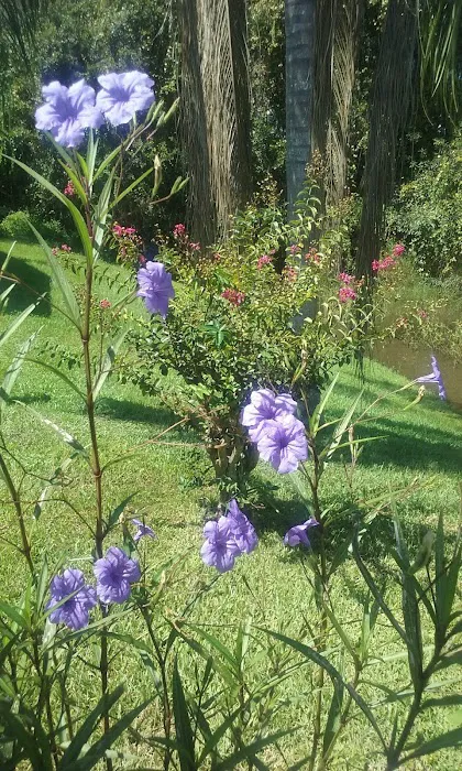 Magnolia Hill Leisure 8