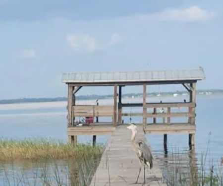 Uncle Joes Fish Camp