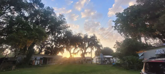 Uncle Joes Fish Camp 6