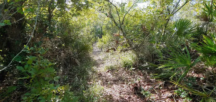 Lake Wales Ridge SF Reedy Creek Campground 8