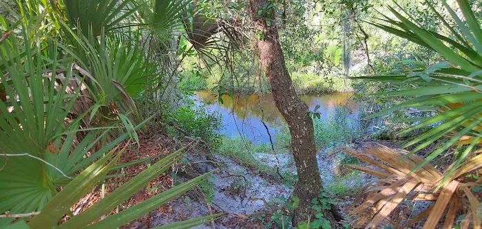 Lake Wales Ridge SF Reedy Creek Campground 7