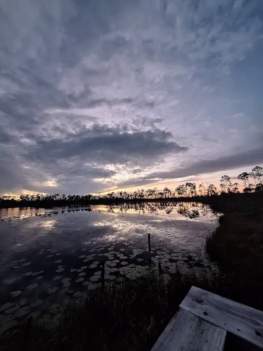 Lake Wales Ridge SF Reedy Creek Campground 6