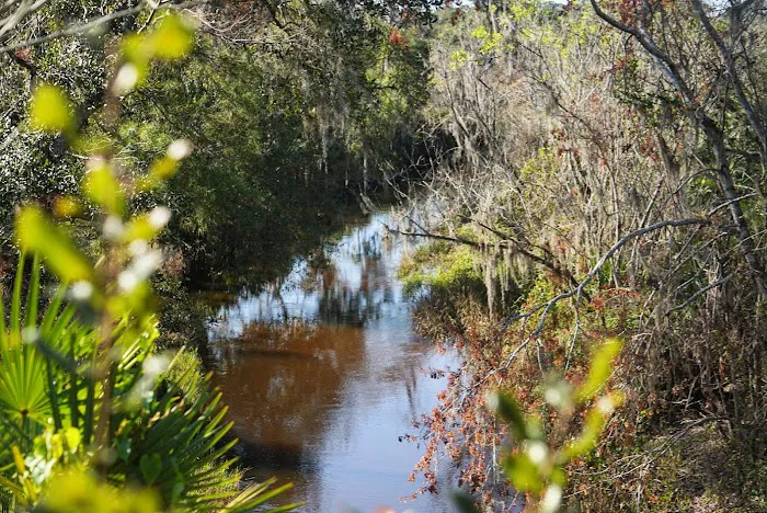Lake Wales Ridge SF Reedy Creek Campground 10
