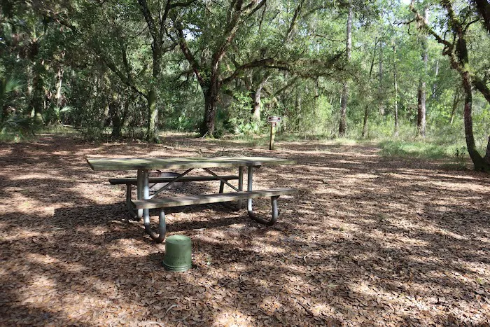 Creekside Camp 3
