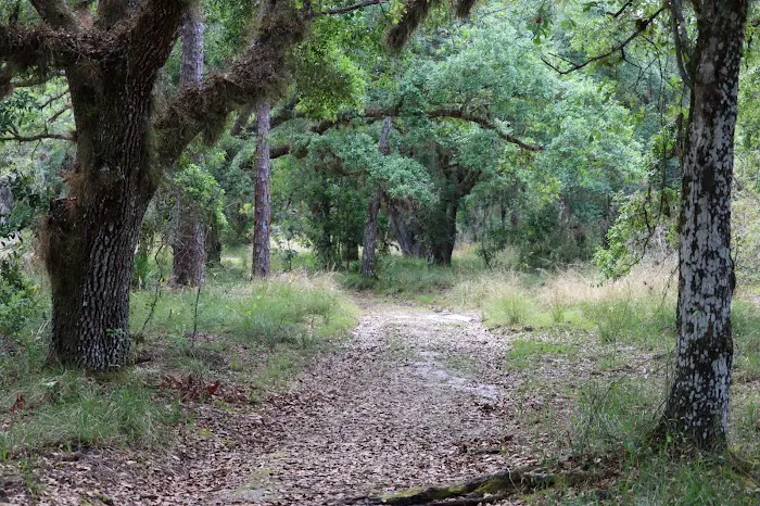 Creekside Camp 8