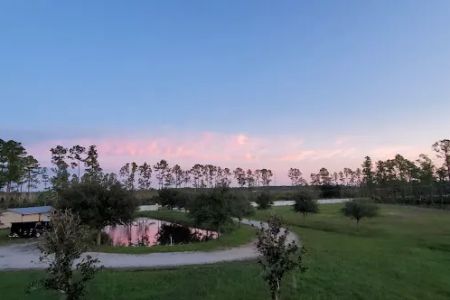 The JJ Ranch