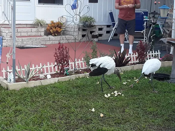 Twelve Oaks Mobile Home Park 5