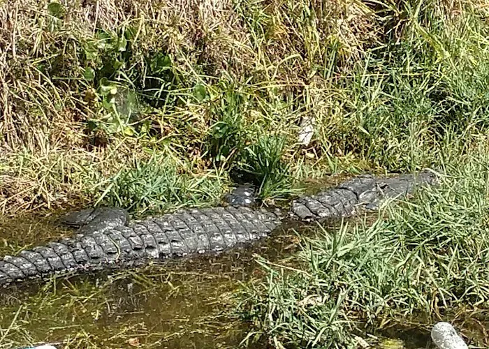 Lake Seminole Estates 5