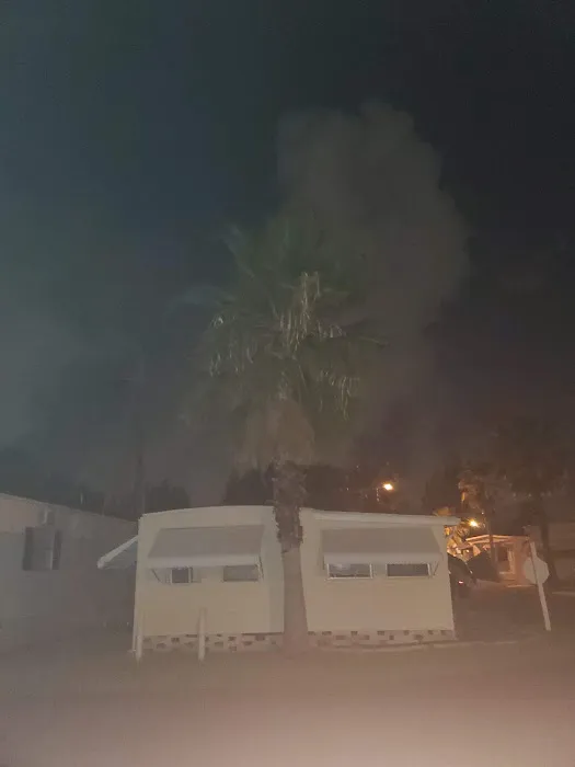 Palm Grove Village 7