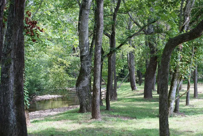 Up the Creek RV Camp 2