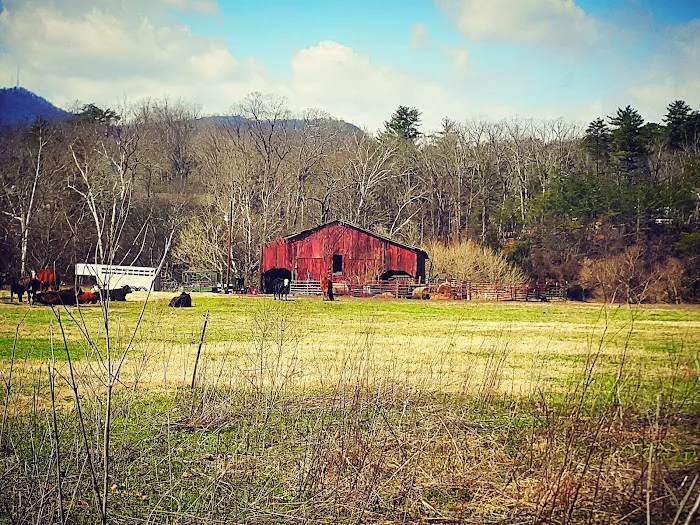 Brookside RV Resort 3