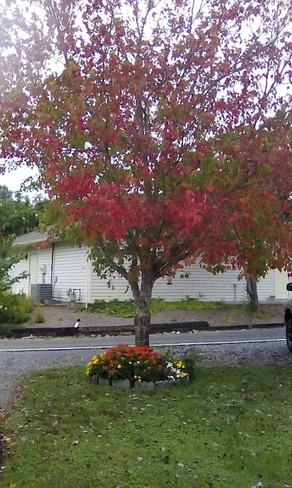 King's Holly Haven RV Park 9